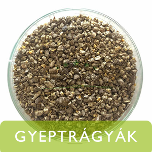 GYEPTRÁGYÁK