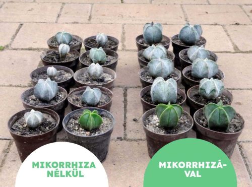 MikoMax Garden 1 kg