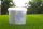 GREENSPEED P56 20 + 5 + 9 (+3) +B, CU, FE, MN, ZN 5kg