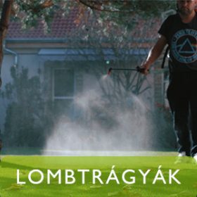 Lombtrágyák